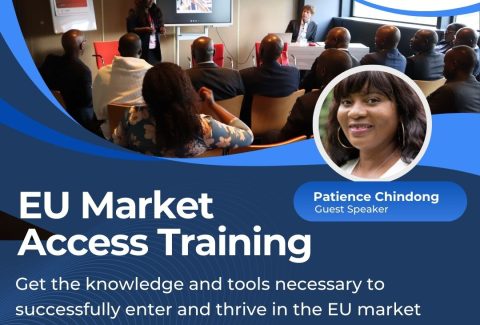 EU Market access training