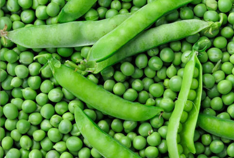 Euro-Afri-link-garden-peas