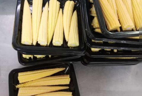 Fresh Baby Corn