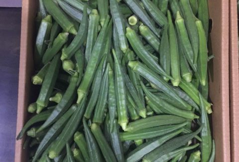 Okro