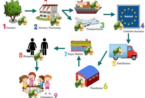 EAL blockchain